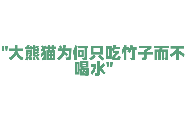 "大熊猫为何只吃竹子而不喝水"